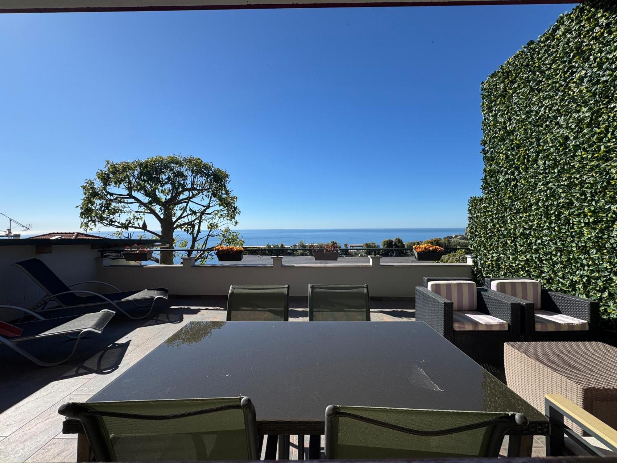 Jardin Exotique